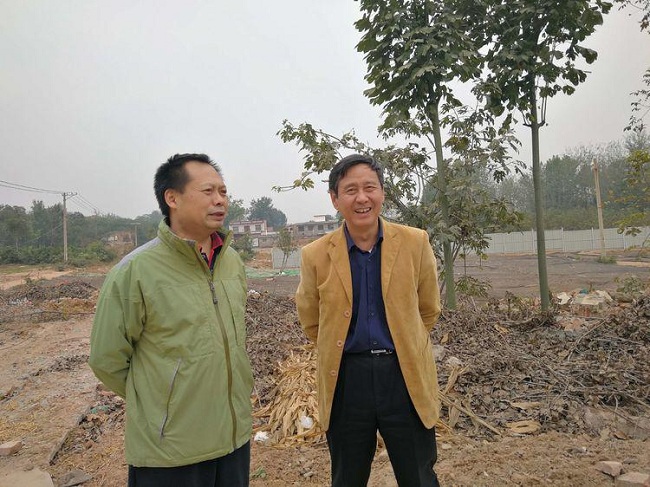 5bcebb9379fce.jpg
