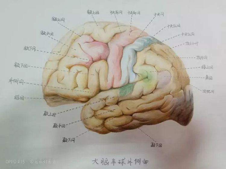5cc800cee7f72.png 5cc800cee7f72.png